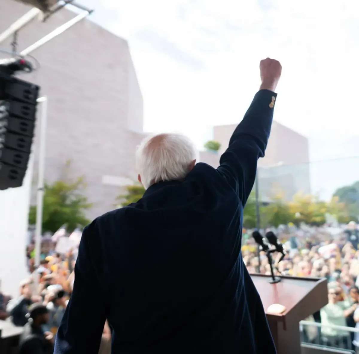 Older man in a crowd raising his fist at an outdoor public event