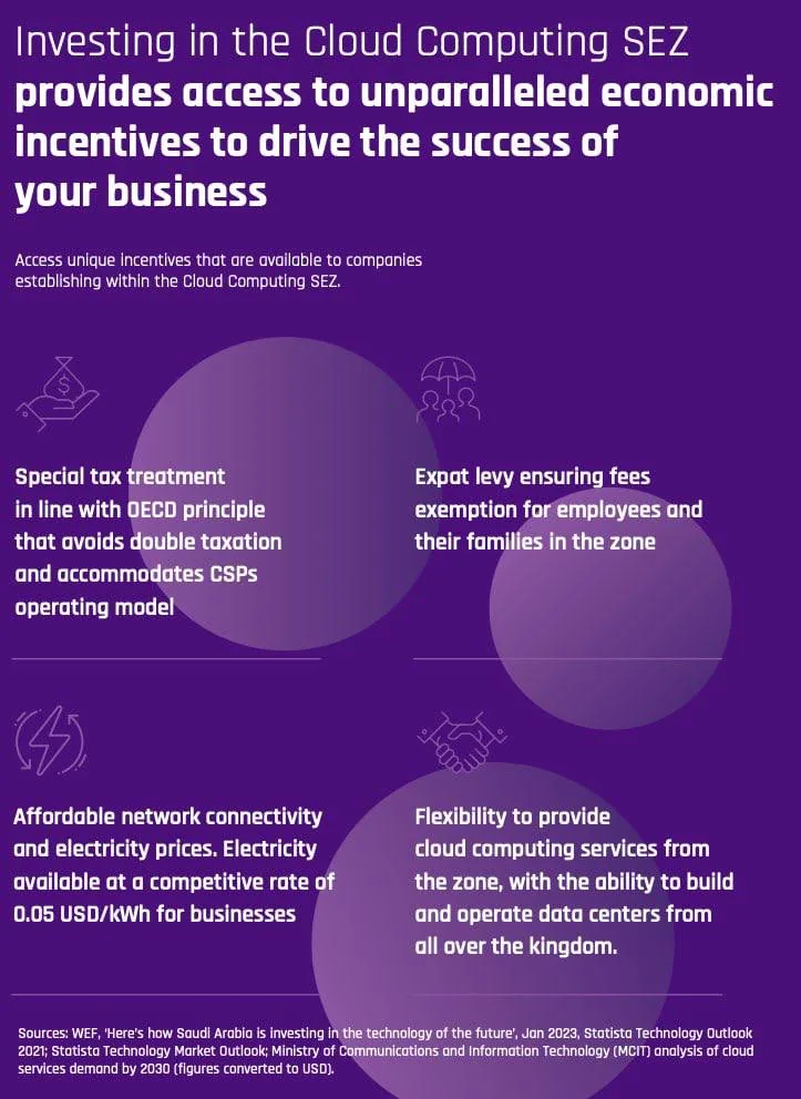 Document about cloud computing SEZ incentives and special tax treatment for businesses